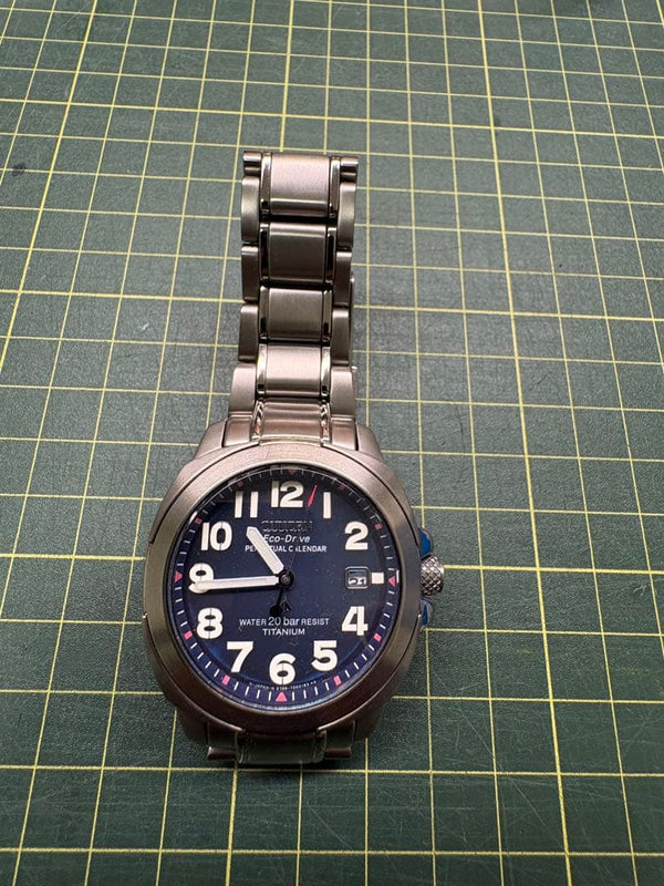 Citizen Eco-drive Perpetual Calendar Promaster Mens Wristwatch Japanese Solar