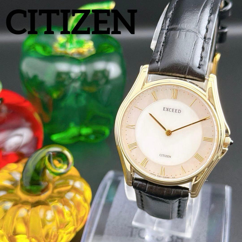 Exceed Quartz Mens Wristwatch Japanese Vintage Dress Watch Stainless
