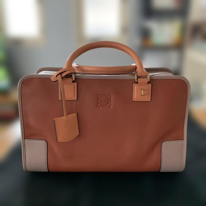 Loewe Amazona 352.69LA22 Handbag Leather Colorblock Teja