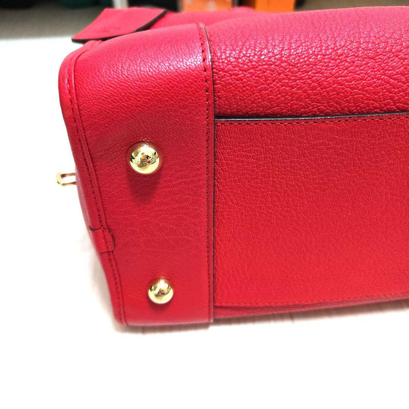 Loewe Amazona Handbag Red Goatskin Leather Gold Hardware