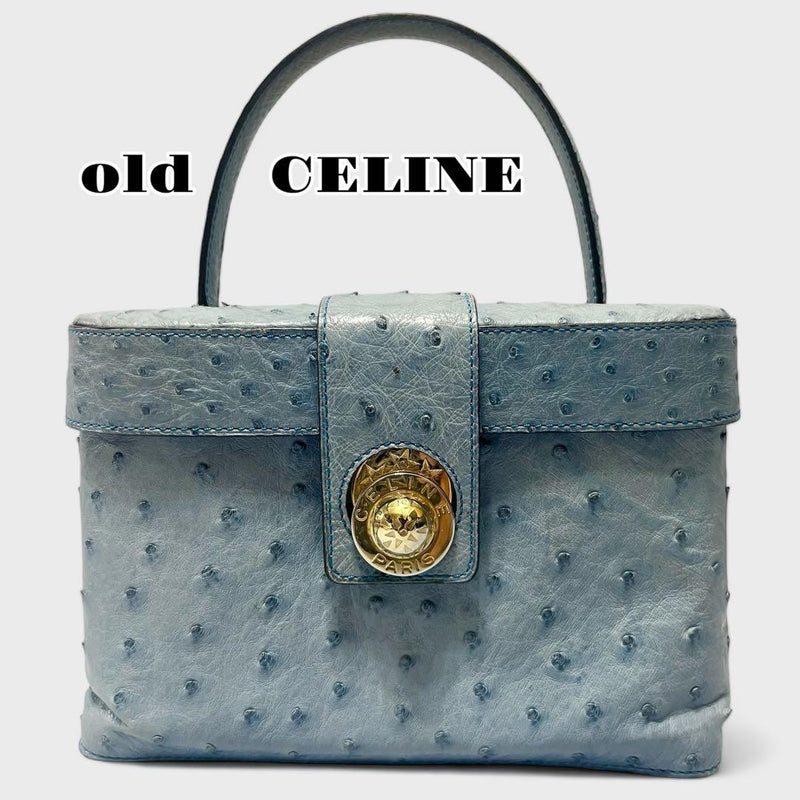 Old Celine Vanity Bag Pouch Ostrich Leather Cobalt Blue Vintage