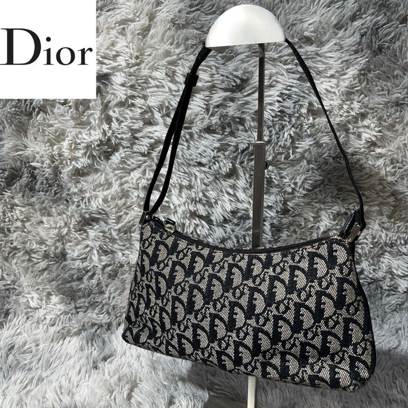 Christian Dior Trotter Handbag Canvas Gray