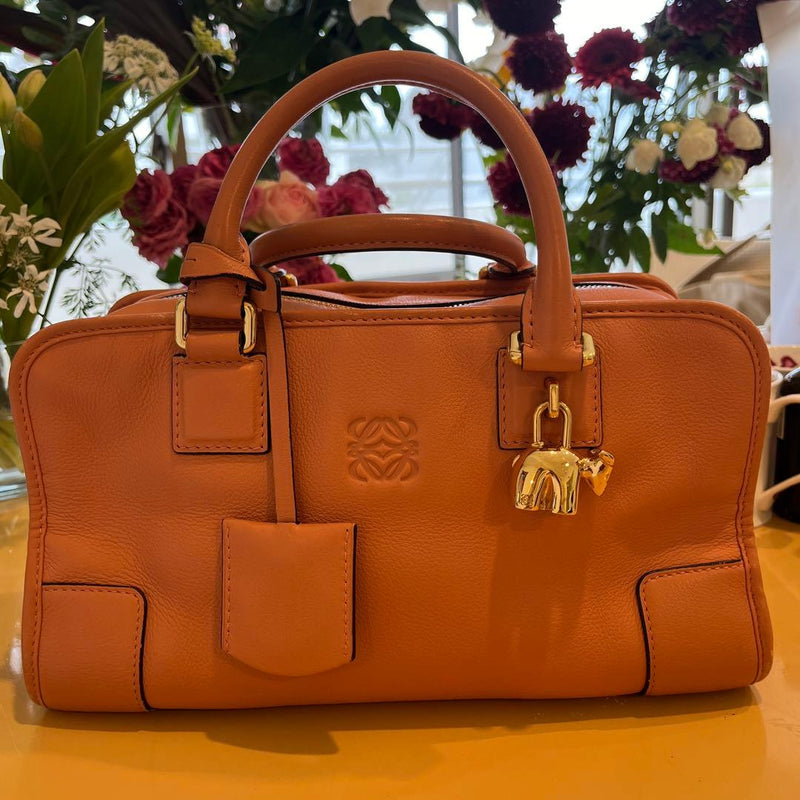 Loewe Amazona 28 Handbag Salmon Pink Leather Silver Hardware
