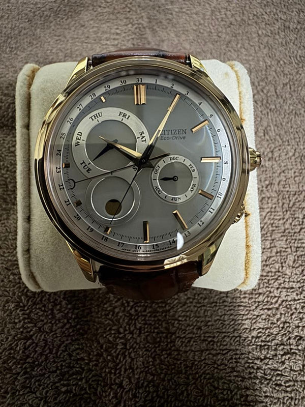 Citizen Eco-Drive Complication AP1043-01A Mens Watch 41mm Moon Phase Month Day