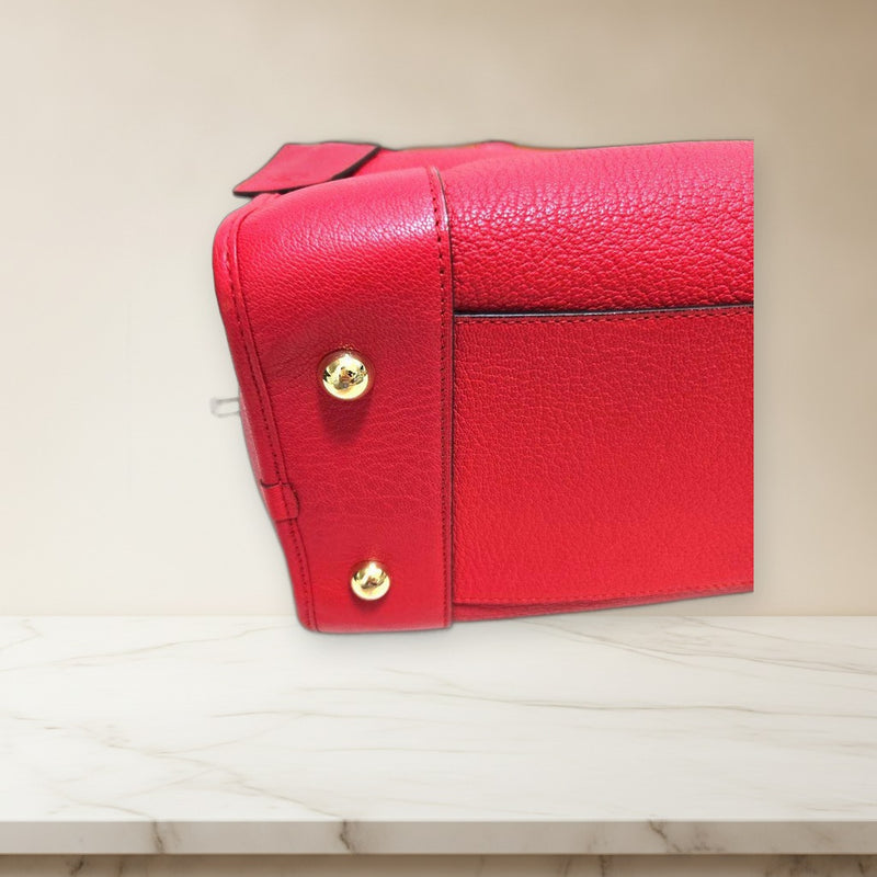 Loewe Amazona Handbag Red Goatskin Leather Gold Hardware